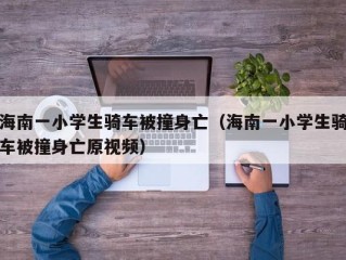 海南一小学生骑车被撞身亡（海南一小学生骑车被撞身亡原视频）