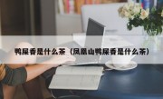 鸭屎香是什么茶（凤凰山鸭屎香是什么茶）