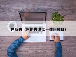 巴斯夫（巴斯夫湛江一体化项目）