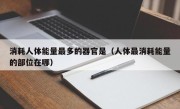 消耗人体能量最多的器官是（人体最消耗能量的部位在哪）