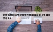 光伏协会回应中企高管在德国被带走（中国光伏老大）