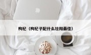 枸杞（枸杞子配什么壮阳最佳）