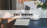 凯迪仕（凯迪仕售后）