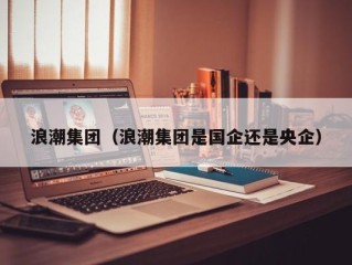 浪潮集团（浪潮集团是国企还是央企）