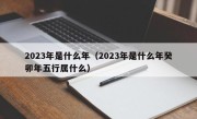 2023年是什么年（2023年是什么年癸卯年五行属什么）