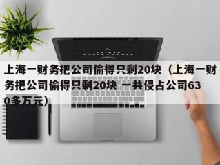 上海一财务把公司偷得只剩20块（上海一财务把公司偷得只剩20块 一共侵占公司630多万元）