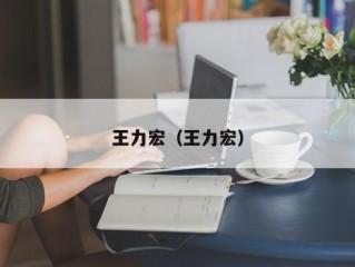 王力宏（王力宏）