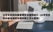 小学生在校内被老师开车撞倒身亡（小学生在校内被老师开车撞倒身亡怎么赔偿）