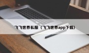 飞飞世界私服（飞飞世界app下载）