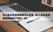身上起红色疙瘩很痒怎么回事（身上起红色疙瘩很痒像蚊子咬的一样）