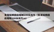 青海姑娘回应陪嫁100头牦牛（青海姑娘回应陪嫁100头牦牛m）