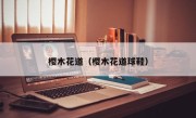 樱木花道（樱木花道球鞋）