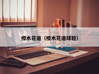 樱木花道（樱木花道球鞋）