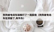 狗狗被电动车踏板打了一路屁股（狗狗被电动车压到腿了,有外伤）