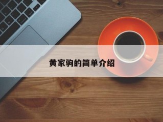 黄家驹的简单介绍