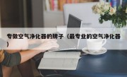 专做空气净化器的牌子（最专业的空气净化器）