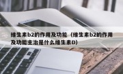 维生素b2的作用及功能（维生素b2的作用及功能主治是什么维生素D）