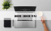 国科微（国科微 华为）