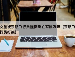 女童被东航飞行员撞倒身亡家属发声（东航飞行员打架）