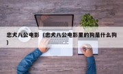 忠犬八公电影（忠犬八公电影里的狗是什么狗）