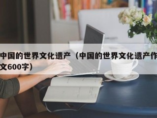 中国的世界文化遗产（中国的世界文化遗产作文600字）