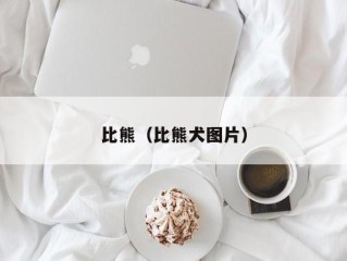 比熊（比熊犬图片）