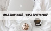 世界上最丑的腿图片（世界上最帅的蝙蝠图片）