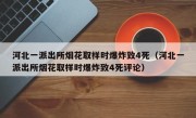 河北一派出所烟花取样时爆炸致4死（河北一派出所烟花取样时爆炸致4死评论）