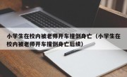 小学生在校内被老师开车撞倒身亡（小学生在校内被老师开车撞倒身亡后续）
