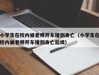 小学生在校内被老师开车撞倒身亡（小学生在校内被老师开车撞倒身亡后续）