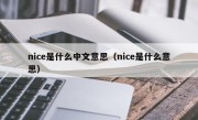 nice是什么中文意思（nice是什么意思）