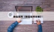 微信双开（微信双开小米）