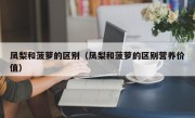 凤梨和菠萝的区别（凤梨和菠萝的区别营养价值）