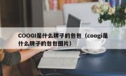 COOGI是什么牌子的包包（coogi是什么牌子的包包图片）