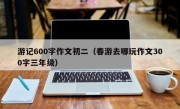 游记600字作文初二（春游去哪玩作文300字三年级）