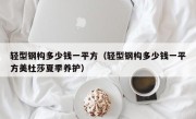 轻型钢构多少钱一平方（轻型钢构多少钱一平方美杜莎夏季养护）