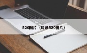 520图片（转账520图片）