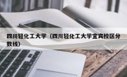 四川轻化工大学（四川轻化工大学宜宾校区分数线）