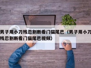 男子用小刀残忍割断看门猫尾巴（男子用小刀残忍割断看门猫尾巴视频）