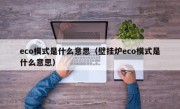 eco模式是什么意思（壁挂炉eco模式是什么意思）