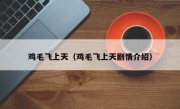 鸡毛飞上天（鸡毛飞上天剧情介绍）