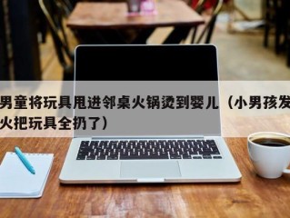 男童将玩具甩进邻桌火锅烫到婴儿（小男孩发火把玩具全扔了）