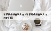 智学网成绩查询入口（智学网成绩查询入口 app下载）