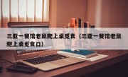 三亚一餐馆老鼠爬上桌觅食（三亚一餐馆老鼠爬上桌觅食口）