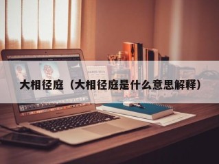 大相径庭（大相径庭是什么意思解释）