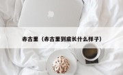 赤古里（赤古里到底长什么样子）