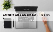 新娘婚礼现场乘坐巨型大鹅出场（什么是风头）