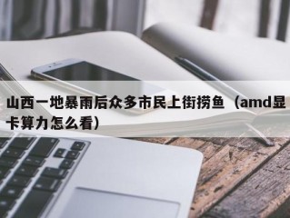 山西一地暴雨后众多市民上街捞鱼（amd显卡算力怎么看）