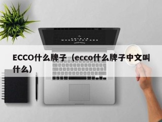 ECCO什么牌子（ecco什么牌子中文叫什么）
