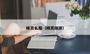 精灵私服（精灵端游）